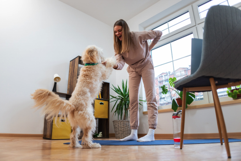Best Indoor Exercises for Dogs: Keep Your Pup Active and Happy Indoors
